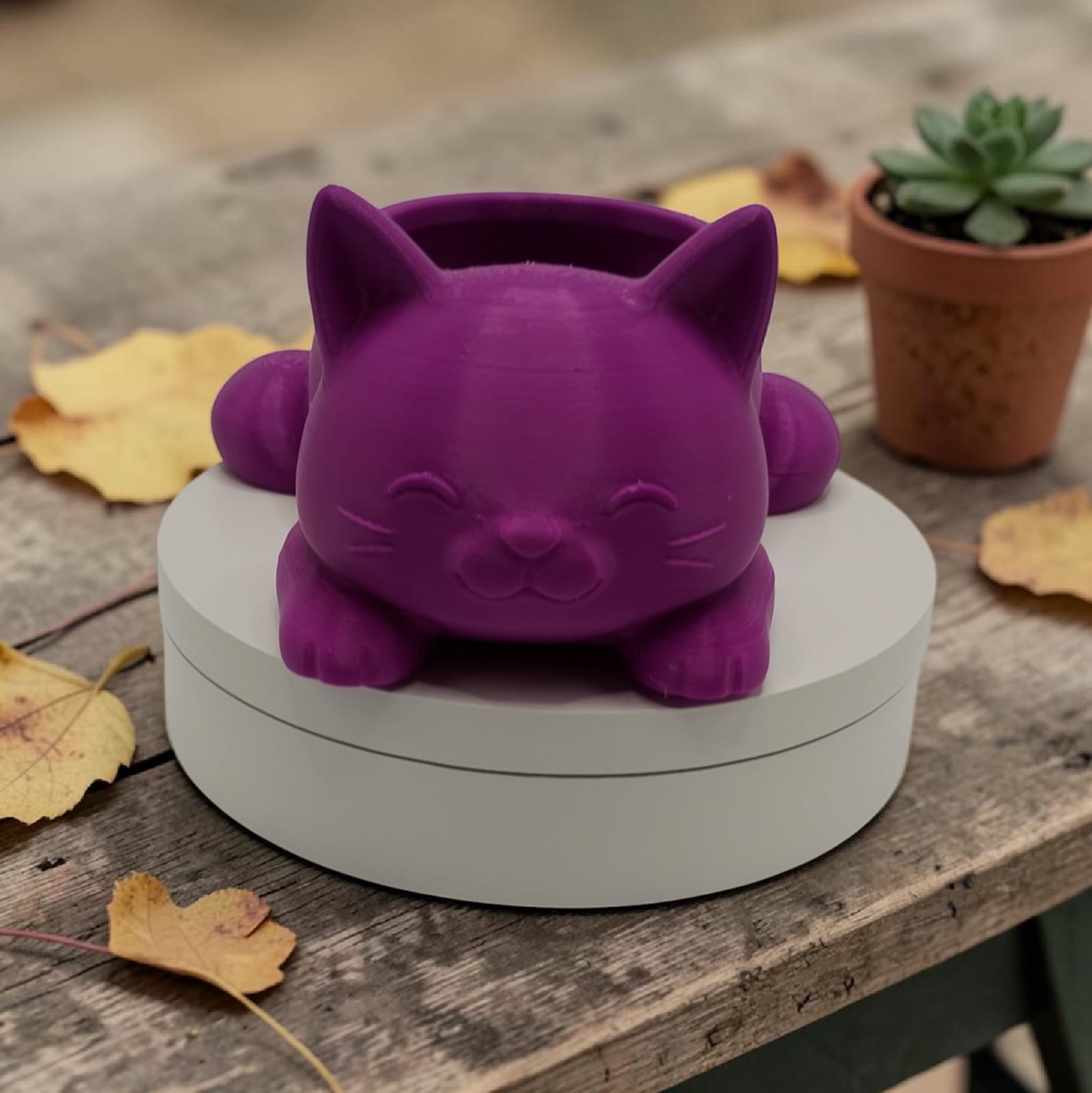 Vaso de Gato