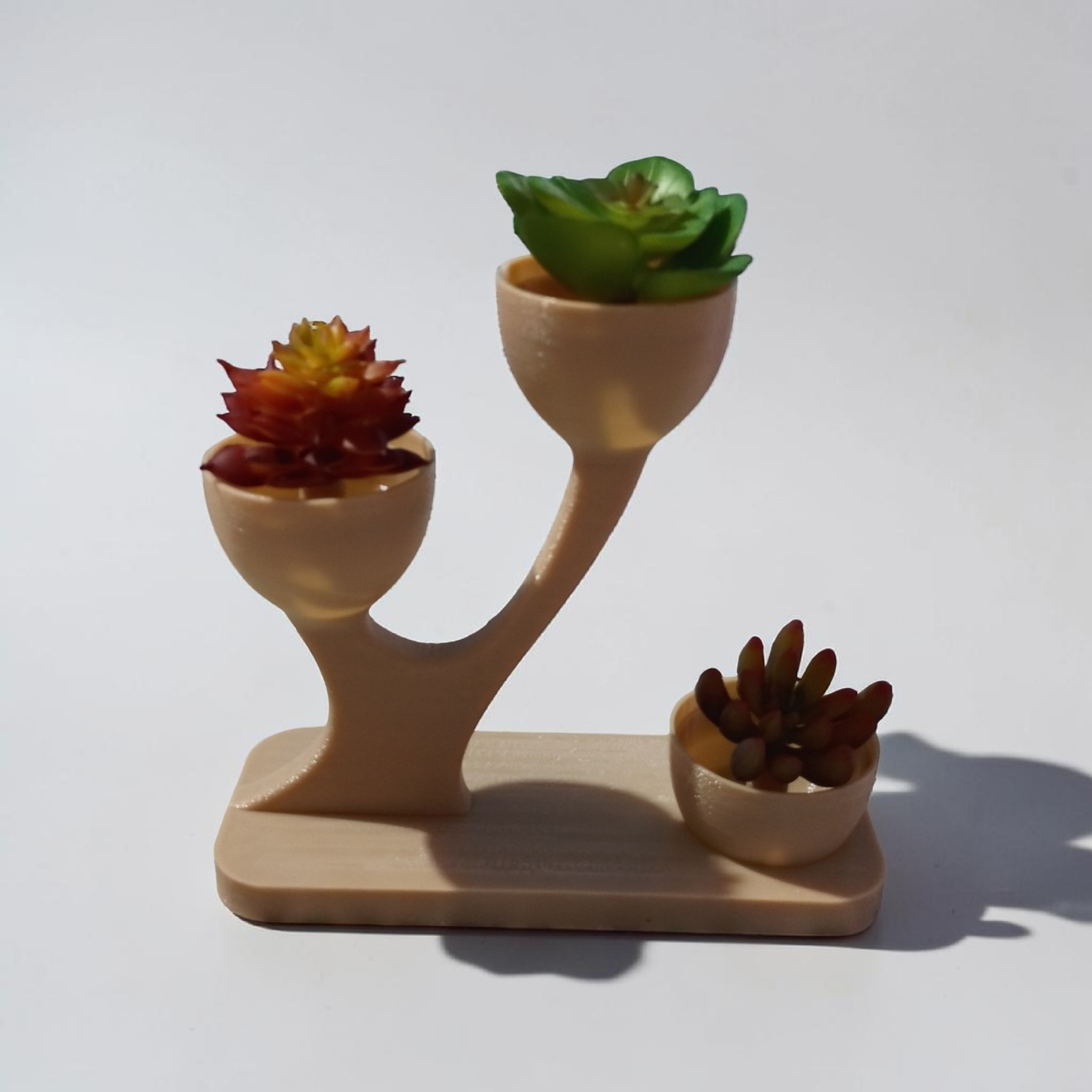 Vaso de Suculentas Decorativas